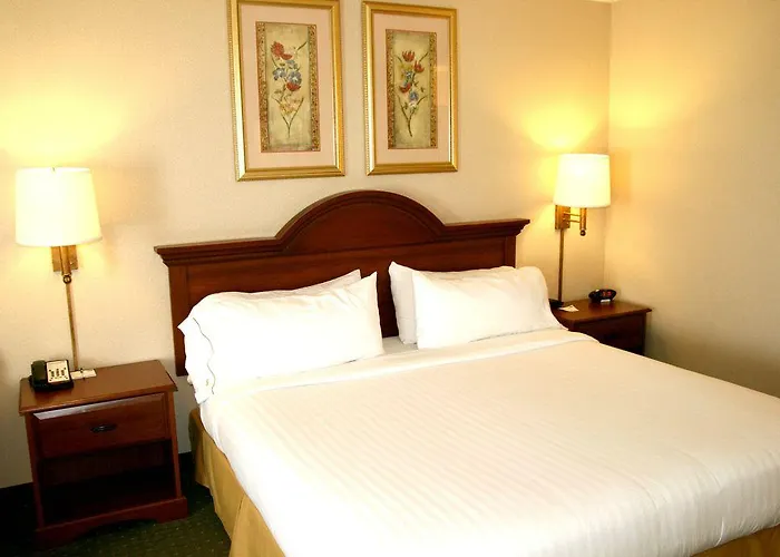 Comfort & Near Route 66 Hotel
