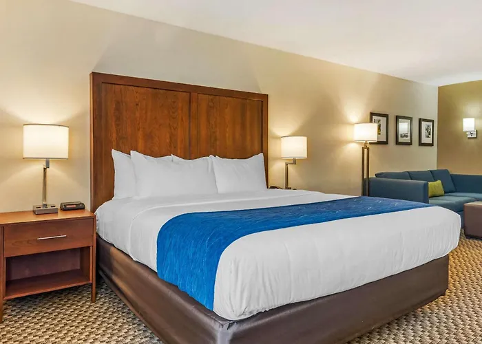 Comfort & Near Route 66 Hotel 4*