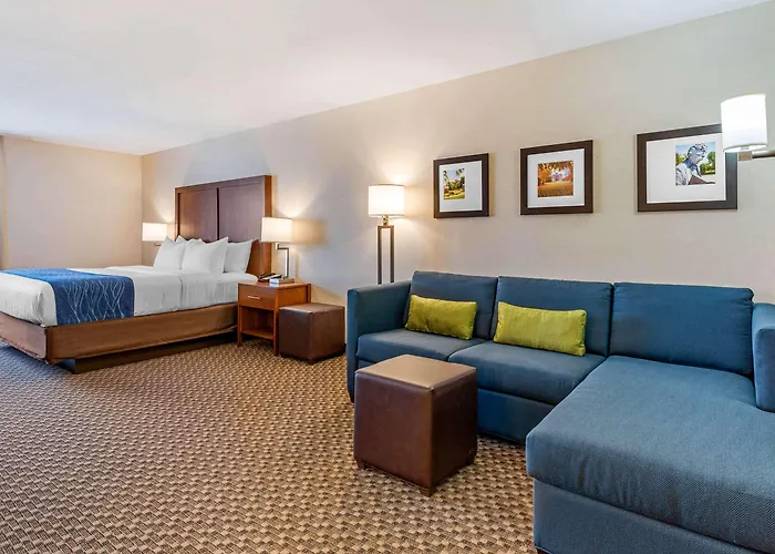 Comfort & Near Route 66 Hotel