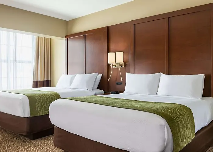 Comfort & Near Route 66 Hotel 4*