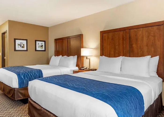 Hotel Comfort & Near Route 66